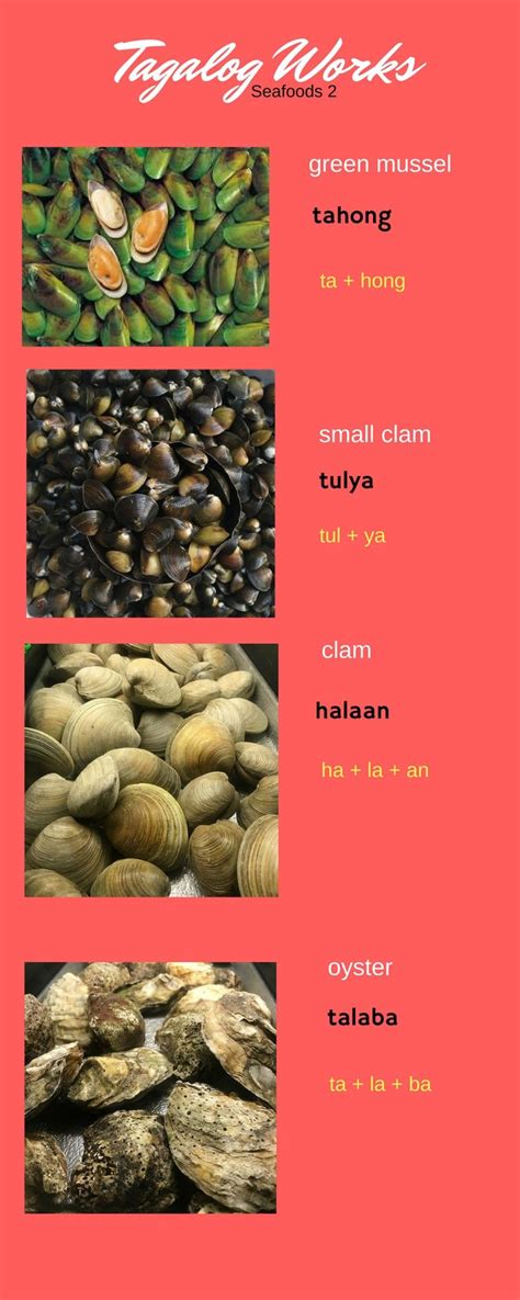shell in Tagalog .